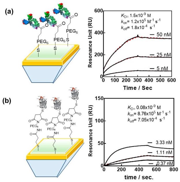 【佳学基因检测】检测 SARS-CoV-2 病毒颗粒的等离子体方法